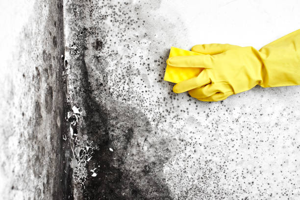 Water Damage Restoration in Crockett, TX