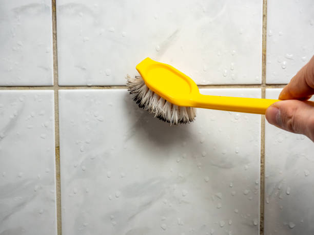 Best Fast Mold Removal  in Crockett, TX