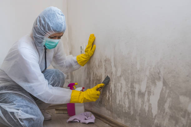 Best Mold Inspection  in Crockett, TX