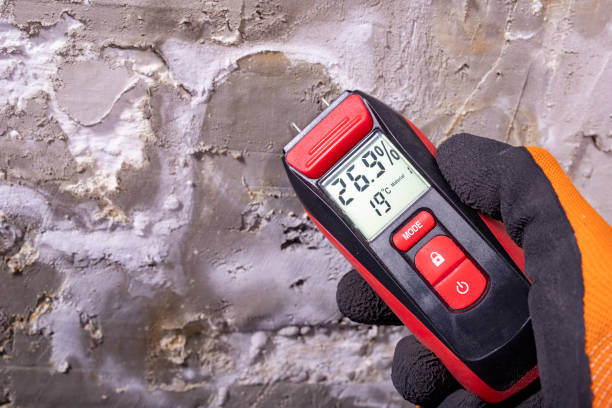 Best Attic Mold Removal  in Crockett, TX