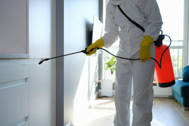 Best Same-Day Mold Removal  in Crockett, TX