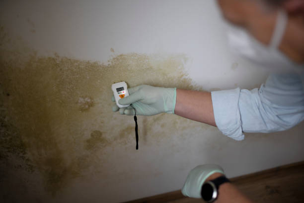 Best Mold Remediation Services  in Crockett, TX