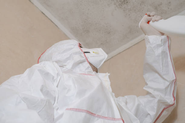 Crockett, TX Mold Removal Company
