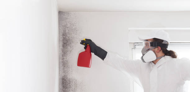 Best Mold Removal Company Near Me  in Crockett, TX